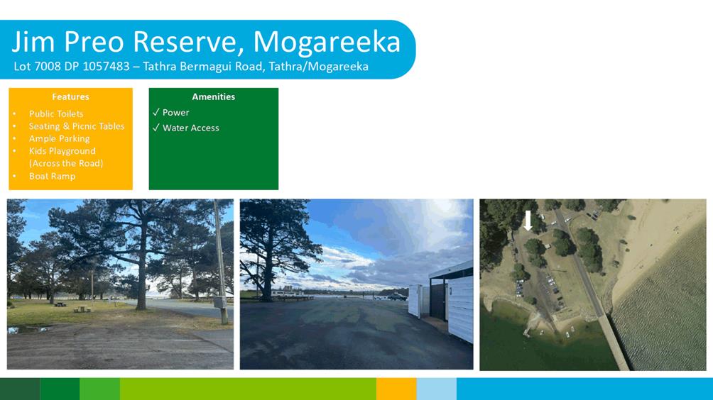 A collage of photos of a road and trees

Description automatically generated