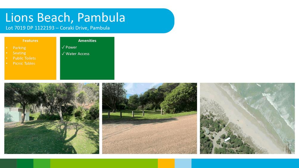 A collage of photos of trees and roads

Description automatically generated