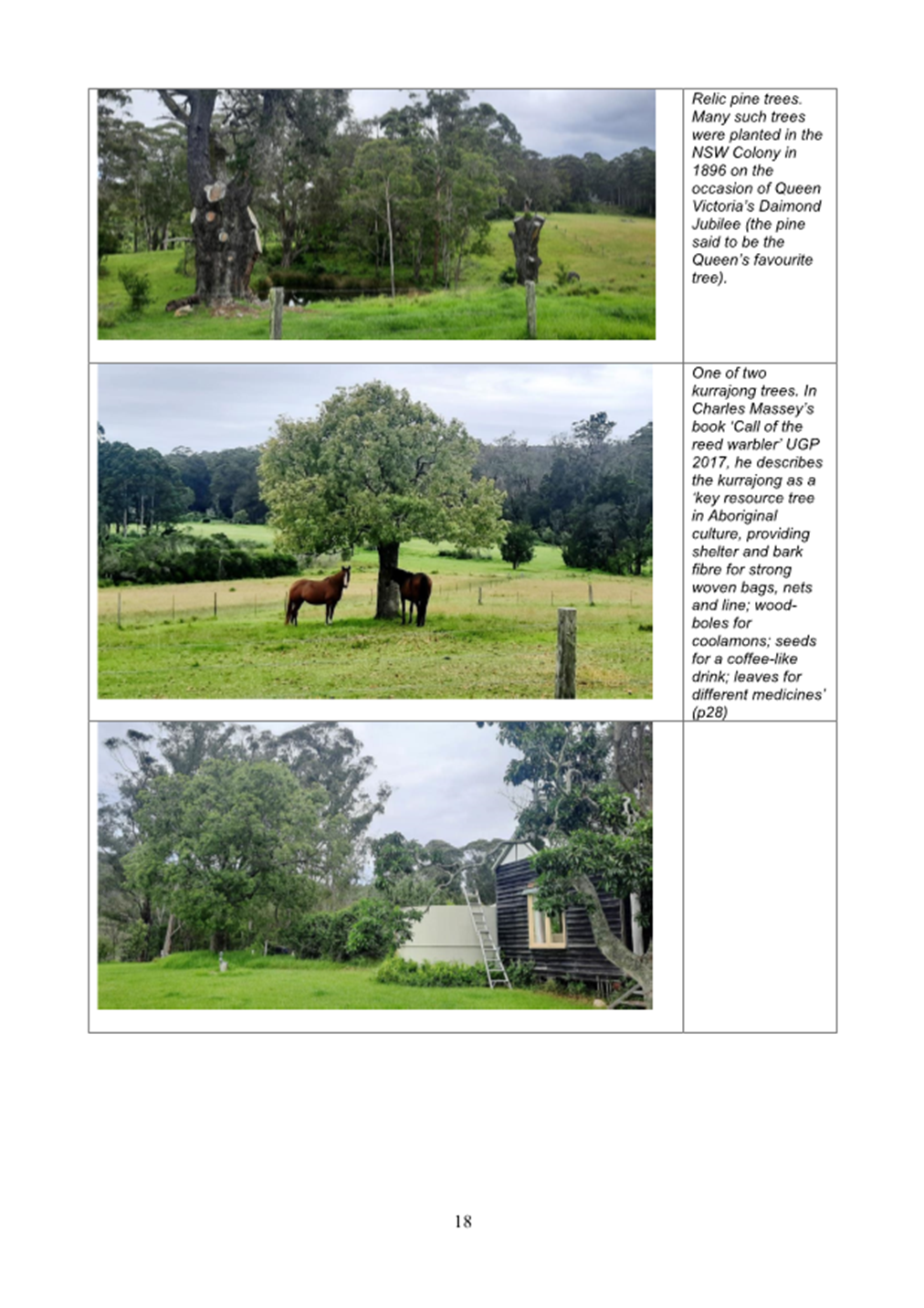 A horse standing in a field

Description automatically generated