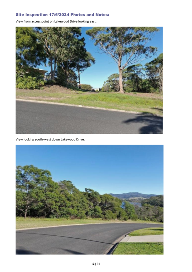 A road with trees and grass

AI-generated content may be incorrect.