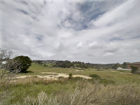 A field with trees and clouds in the sky

AI-generated content may be incorrect.