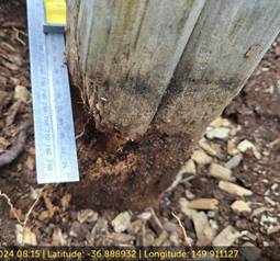 A metal ruler on a pole

AI-generated content may be incorrect.