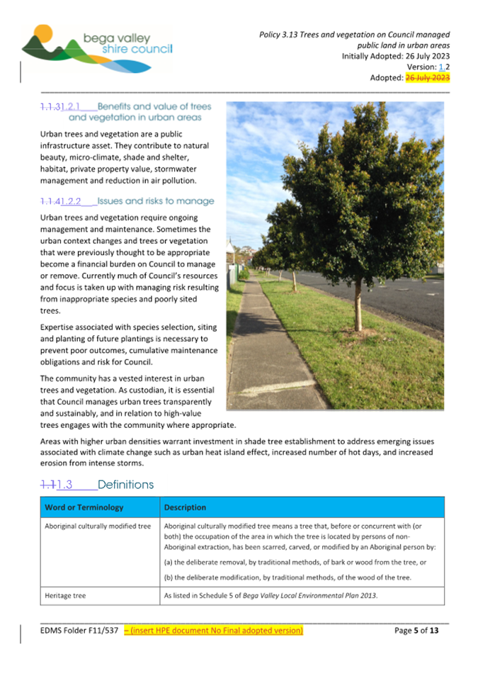 A tree next to a road

AI-generated content may be incorrect.